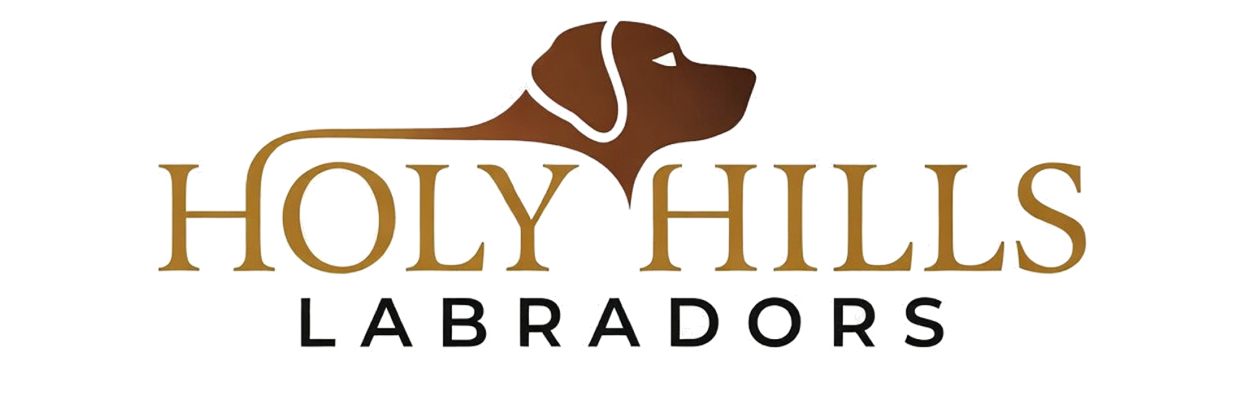 Holy Hills Labradors